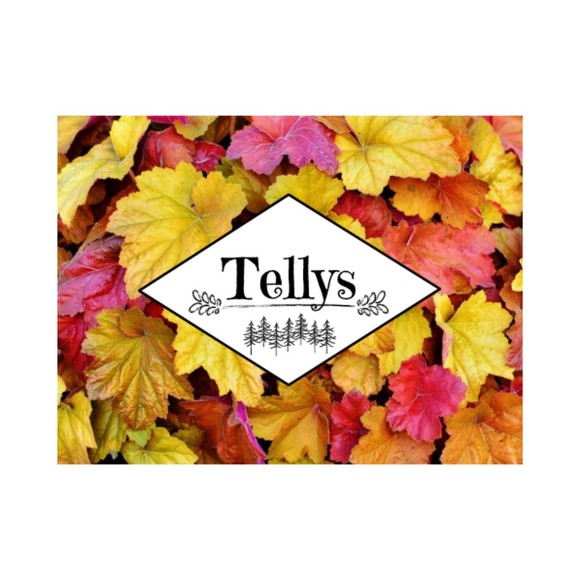 tellys01